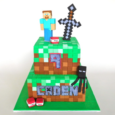 Minecraft Steve Creeper Birthday Cake