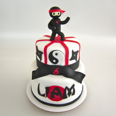 Karate Ninja Cake